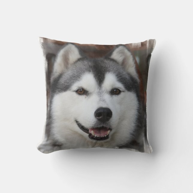 Coussin enroué de chien (Recto)
