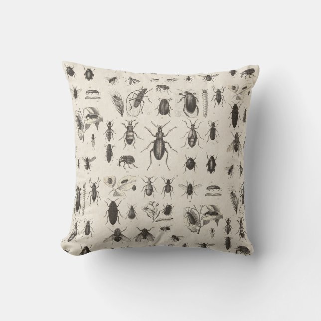 Coussin Entomologie antique d'insectes et d'insectes (Recto)