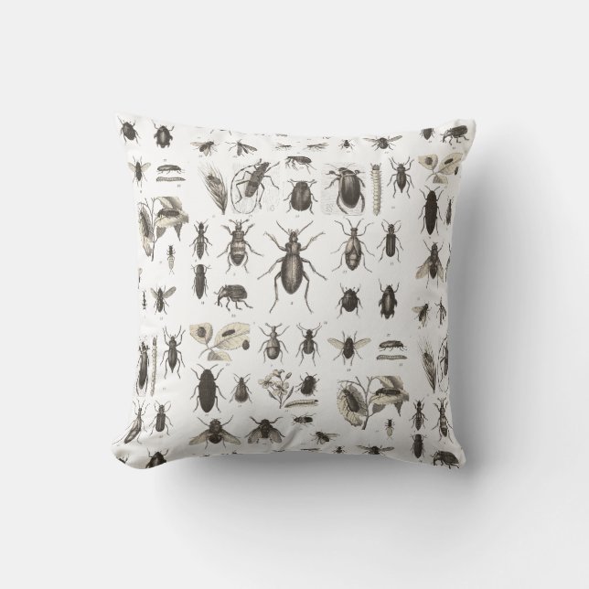 Coussin Entomologie antique d'insectes et d'insectes (Recto)