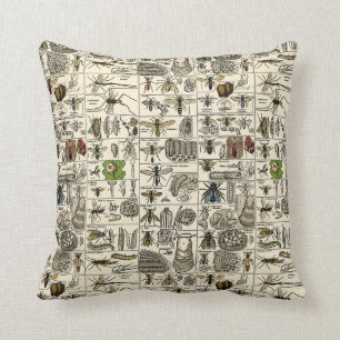 Coussin Entomologie vintage