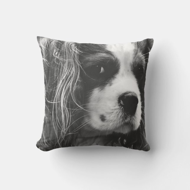 Coussin Épagneul cavalier du Roi Charles (Recto)