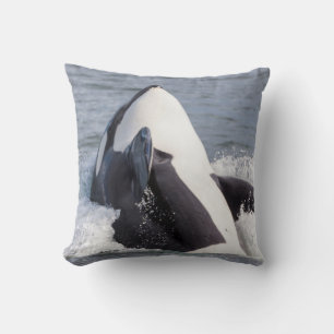 Coussin Épaulard faisant une cabriole