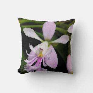 Coussin Epidendrum caligarium