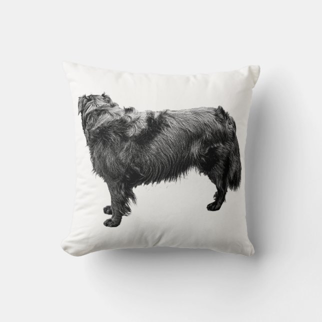 Coussin Equinoxe rustique (Recto)