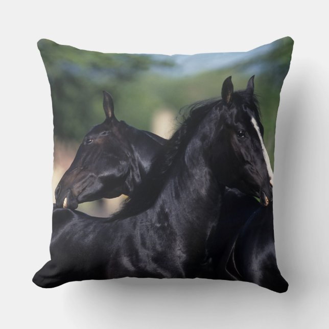 Coussin Éraflure arabe de cheval (Recto)