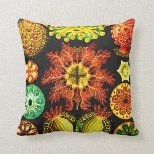 Coussin Ernst Haeckel Ascidiae