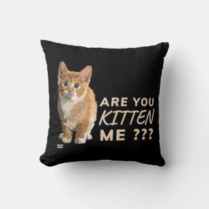 Coussin "ES-TU EN TRAIN DE ME FAIRE CUIRE" drôle, mignonn