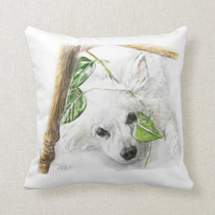 Coussin Eskimo américain