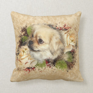 Coussin espagnol tibétain