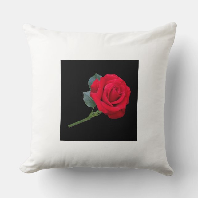 Coussin et Poufs (Recto)