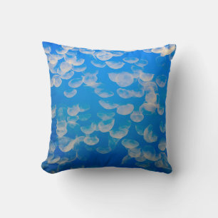 Coussin États-Unis, Californie. Méduses dans la baie de Mo