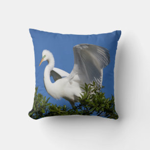Coussin États-Unis, Floride, Saint-Augustine, Egret