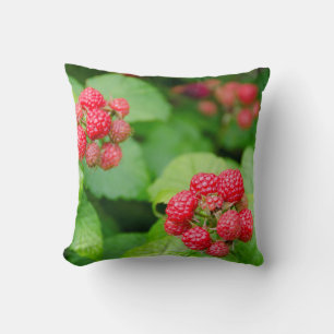 Coussin États-Unis, Massachusetts, Nantucket. Framboises m
