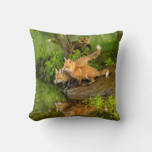Coussin États-Unis, Minnesota, Sandstone, faune du Minneso