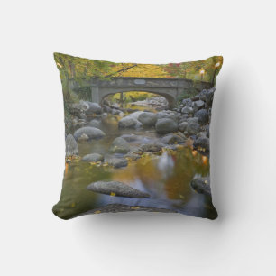 Coussin États-Unis, Oregon, Ashland, Lithia Park.Automne