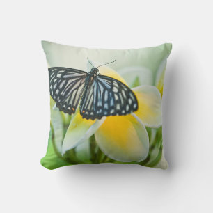 Coussin États-Unis, Pennsylvanie. Papillon swallowtail