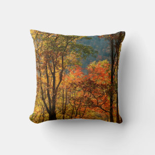Coussin États-Unis, Tennessee. Feuillage d'automne