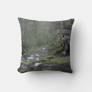 Coussin États-Unis, Tennessee, Great Smoky Mountains Natio