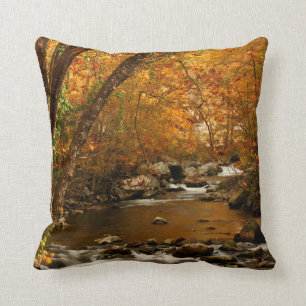 Coussin États-Unis, Tennessee. Ruisseau Rushing Mountain 3