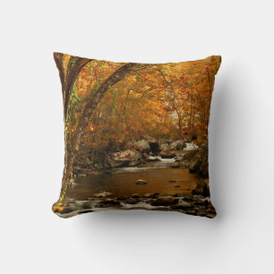 Coussin États-Unis, Tennessee. Rushing Mountain Creek 3