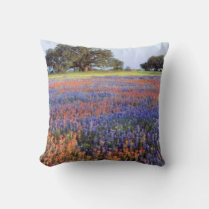 Coussin États-Unis, Texas, Llano. Bluebonnets et redbonnet