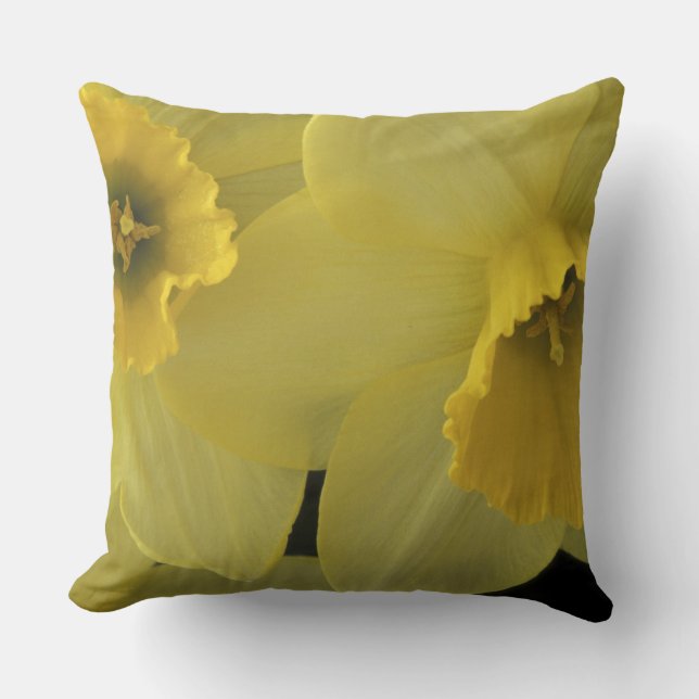 Coussin États-Unis, Utah, jonquilles de Cache Valley (Recto)
