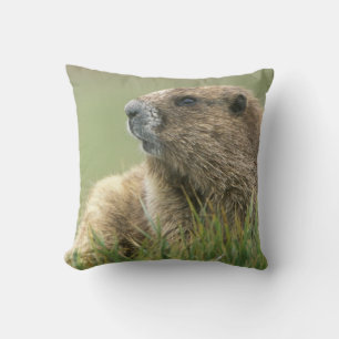 Coussin États-Unis, Washington, Parc national Olympique, M