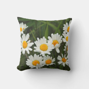 Coussin États-Unis, Washington, Seattle, Puget Sound 3