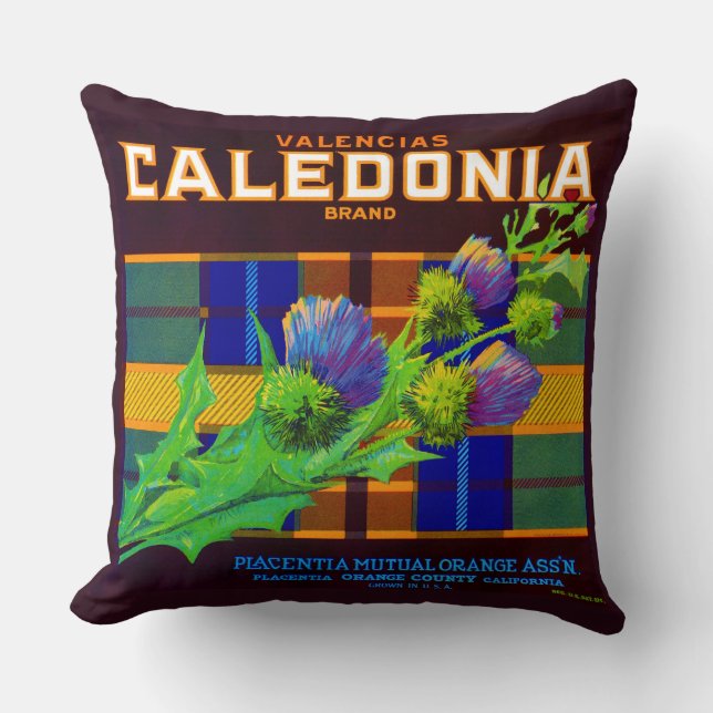 Coussin étiquette de caisse orange Caledonia 1930 (Recto)