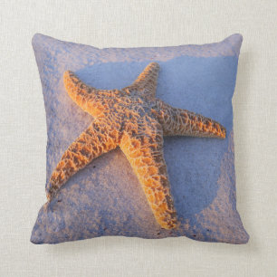 Coussin Étoiles de mer sur le sable blanc