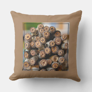 Coussin Etoiles le long du Rio Grande Cotton Wood Trees