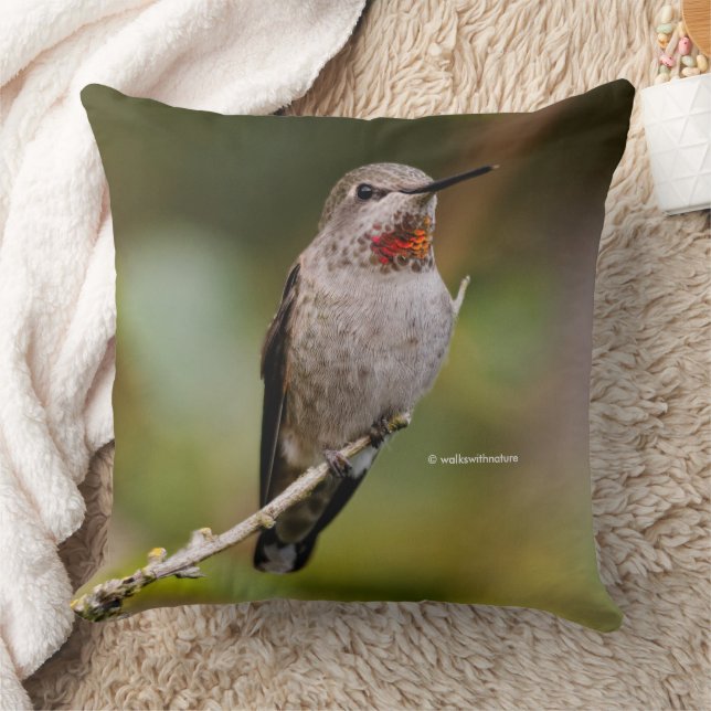 Coussin Étonnant colibri d'Anna à la Branche (Couverture)