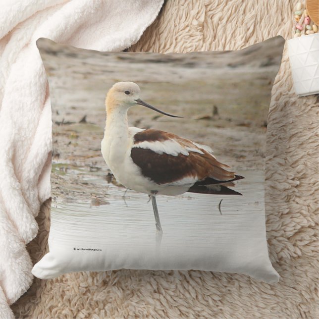 Coussin Étonnant oiseau à pattes à la plage américain Avoc (Couverture)