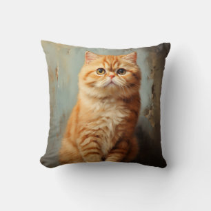 Coussin Exotique Shorthair cat