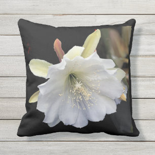 Coussin extérieur 16 x 16