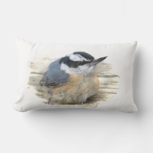 Coussin extérieur animal d'oiseau à gorge rouge de (Recto)