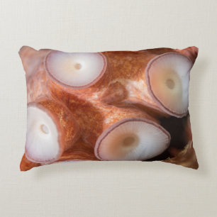 Coussin extérieur avec tentacules