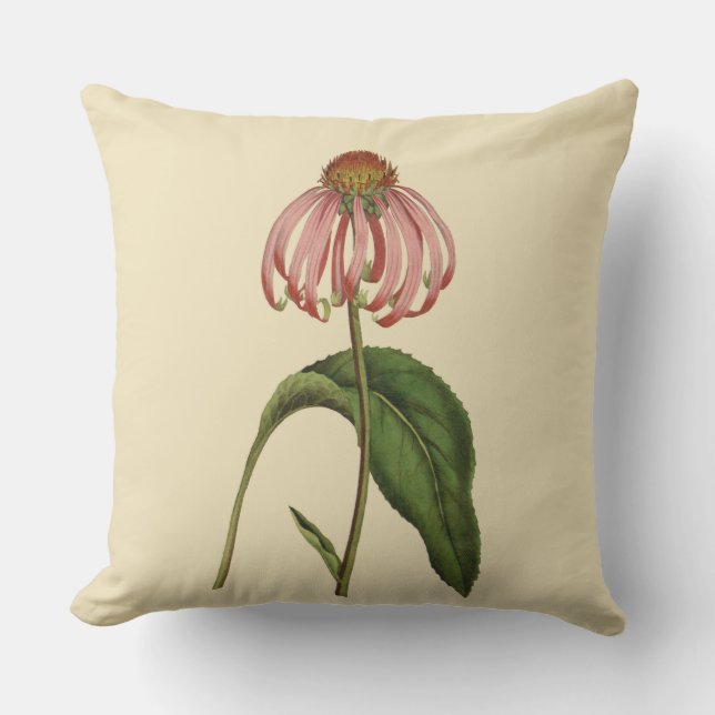 Coussin extérieur botanique rose 20" de Coneflower (Recto)