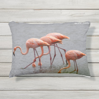 Coussin extérieur Flamant rose et dauphin