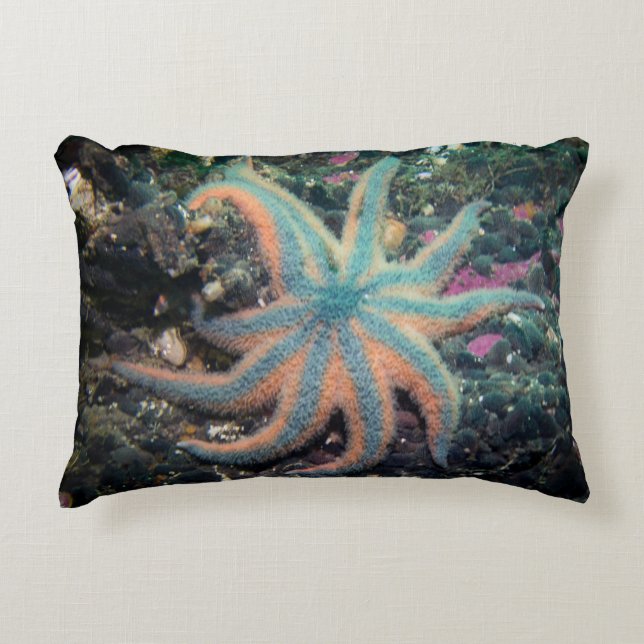 Coussin extérieur Starfish (Devant)