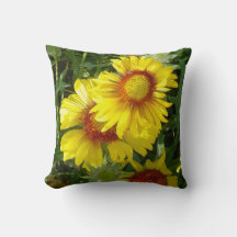 F6 Fleurs sauvages jaunes Gaillardia