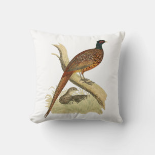 Coussin Faisan vintage sur branche Dessin de couleur d'ois
