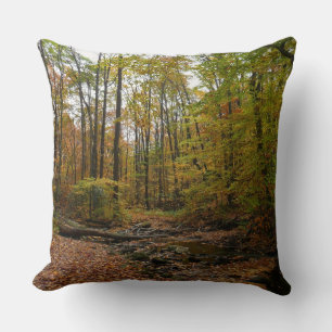 Coussin Fall Creek à Laurel Hill State Park Pennsylvanie