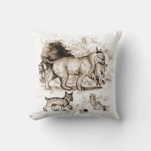 Coussin Famille Bobcat