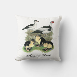 Coussin Famille de canards Muscovy à pieds noirs