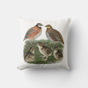 Coussin Famille de Colin de Virginie