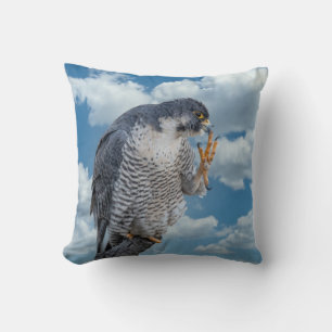 Coussin Faucon pèlerin le long de la rivière Hudson