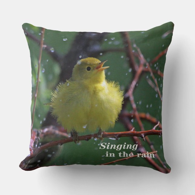 Coussin Fauvette (Recto)