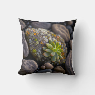 Coussin Feuille Galets Calme Nature Tranquille Rivière pai