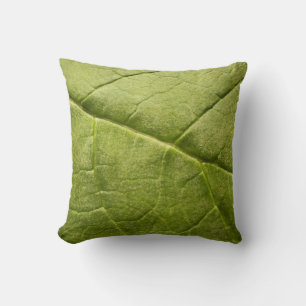 Coussin Feuille verte de Rhubarbe biologique